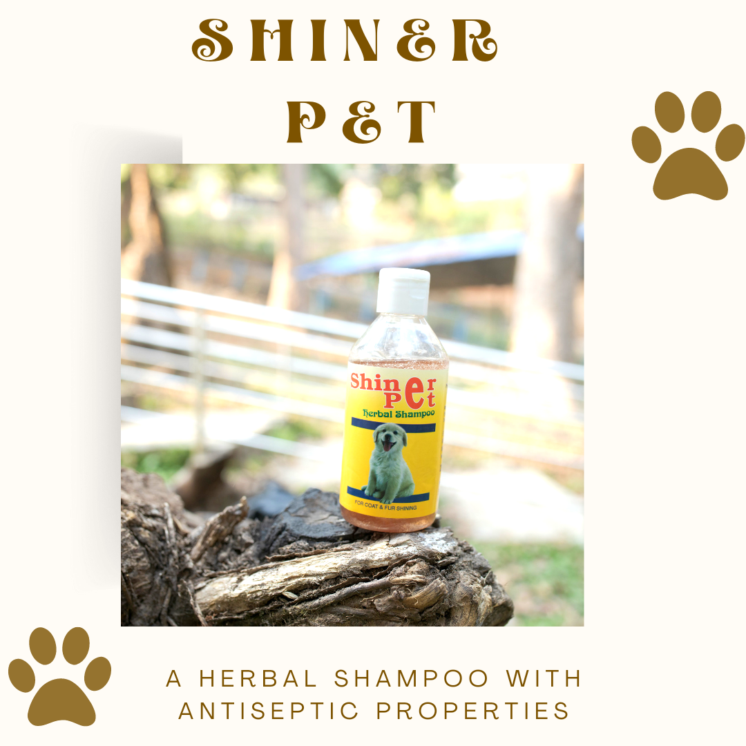 Shiner Pet